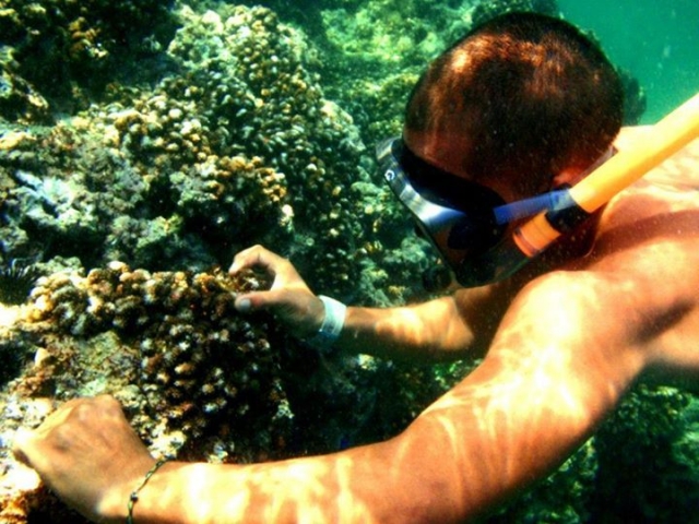 snorkel y curiosidad